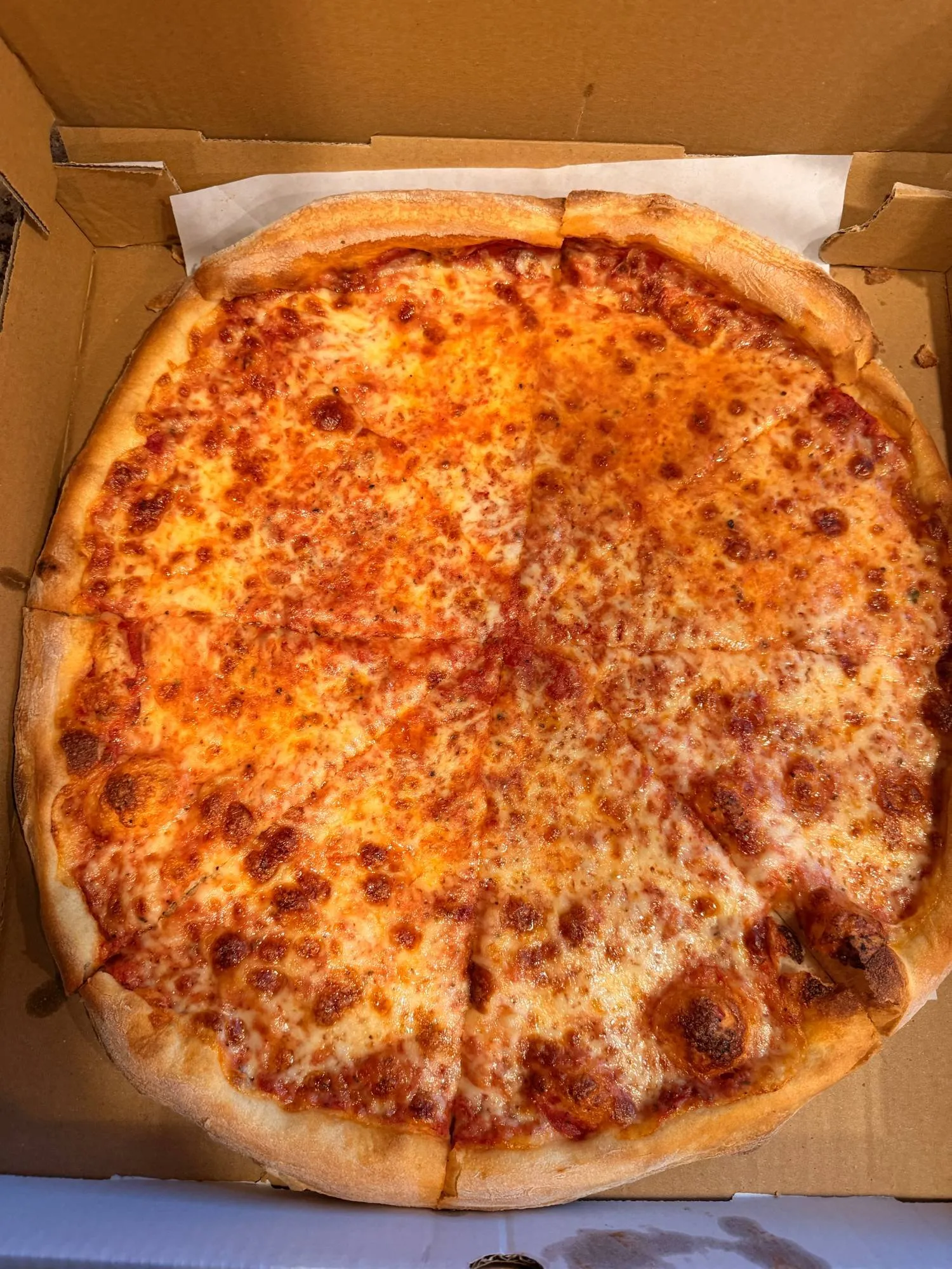 A whole cheese pizza from Benvenuto Pizza, sliced and sitting in its box